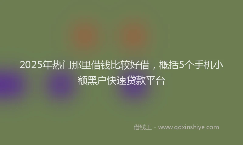 2025年热门那里借钱比较好借，概括5个手机小额黑户快速贷款平台
