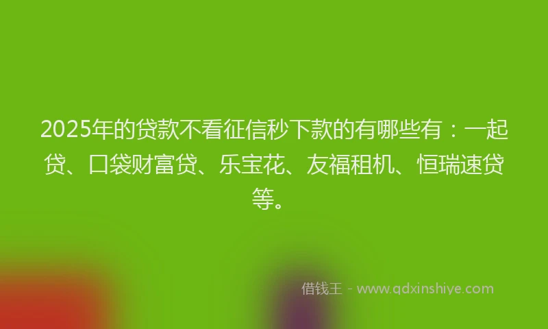 2025年的贷款不看征信秒下款的有哪些有：一起贷、口袋财富贷、乐宝花、友福租机、恒瑞速贷等。