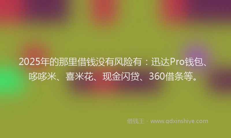 2025年的那里借钱没有风险有：迅达Pro钱包、哆哆米、喜米花、现金闪贷、360借条等。
