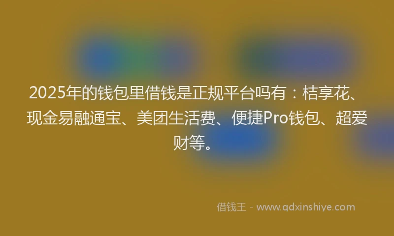 2025年的钱包里借钱是正规平台吗有：桔享花、现金易融通宝、美团生活费、便捷Pro钱包、超爱财等。