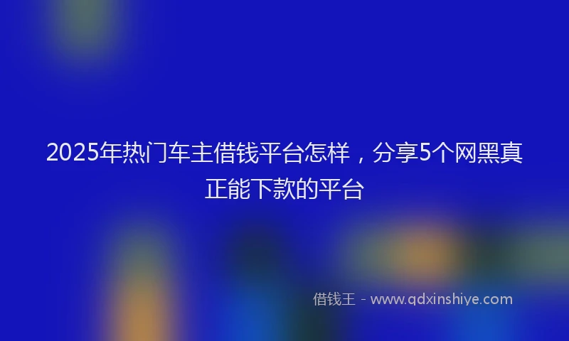 2025年热门车主借钱平台怎样，分享5个网黑真正能下款的平台