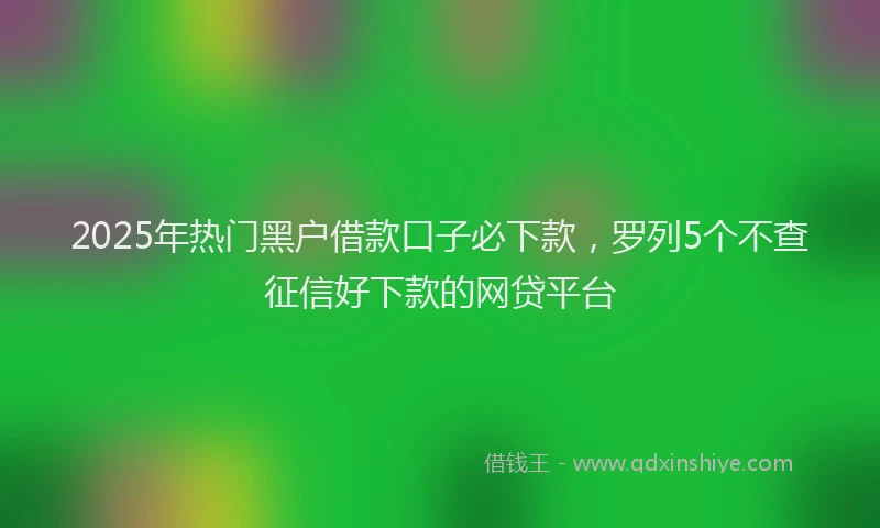 2025年热门黑户借款口子必下款，罗列5个不查征信好下款的网贷平台