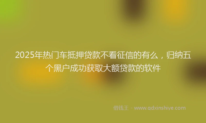 2025年热门车抵押贷款不看征信的有么，归纳五个黑户成功获取大额贷款的软件