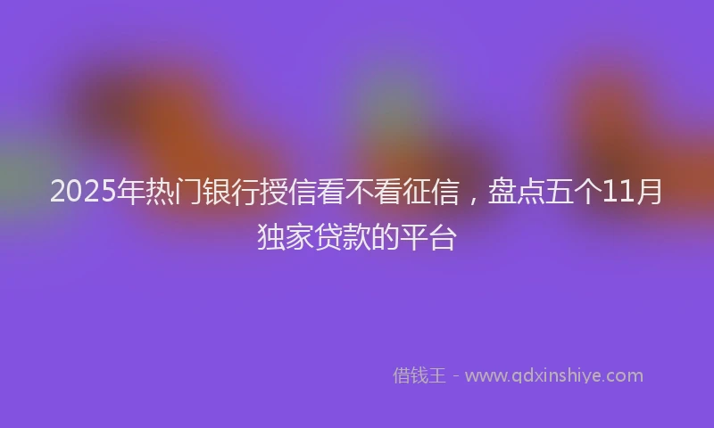2025年热门银行授信看不看征信，盘点五个11月独家贷款的平台