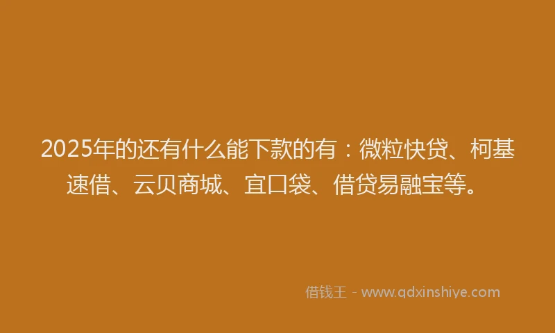 2025年的还有什么能下款的有：微粒快贷、柯基速借、云贝商城、宜口袋、借贷易融宝等。
