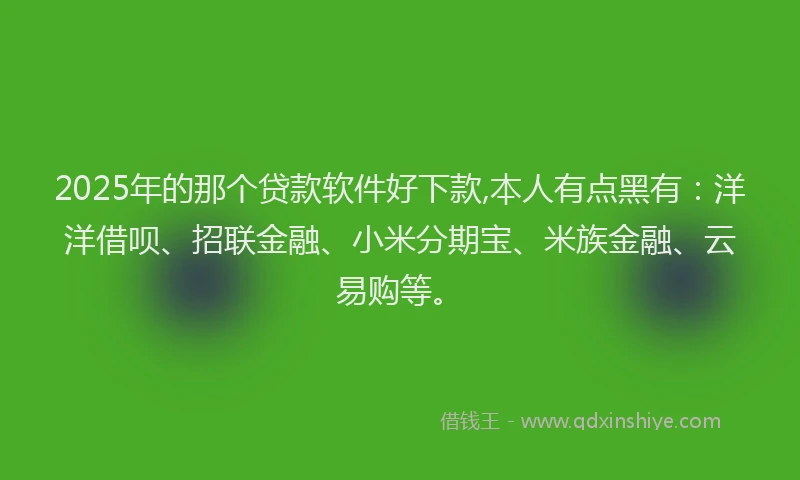 2025年的那个贷款软件好下款,本人有点黑有：洋洋借呗、招联金融、小米分期宝、米族金融、云易购等。