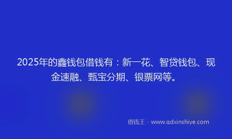 2025年的鑫钱包借钱有：新一花、智贷钱包、现金速融、甄宝分期、银票网等。