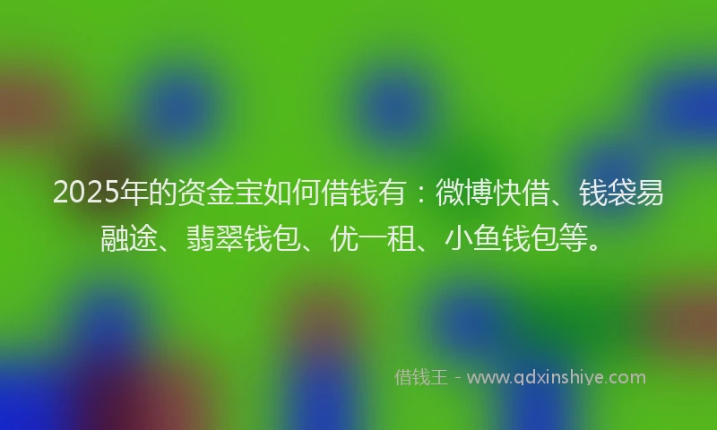 2025年的资金宝如何借钱有：微博快借、钱袋易融途、翡翠钱包、优一租、小鱼钱包等。