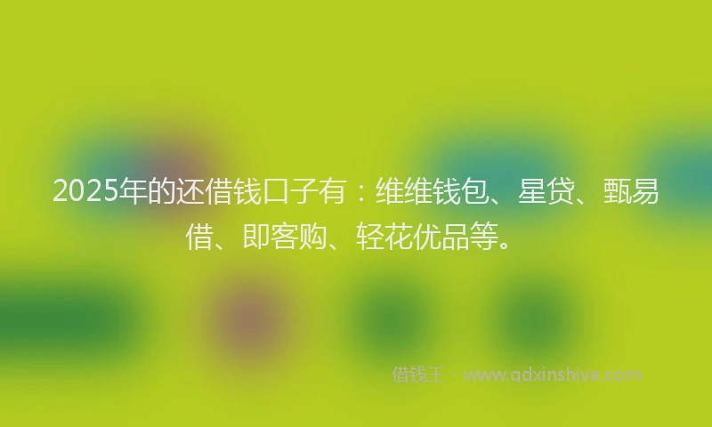 2025年的还借钱口子有：维维钱包、星贷、甄易借、即客购、轻花优品等。