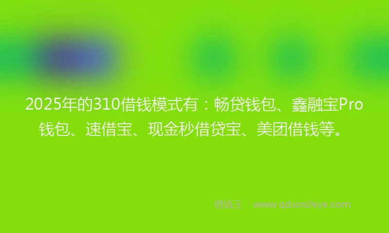 2025年的310借钱模式有：畅贷钱包、鑫融宝Pro钱包、速借宝、现金秒借贷宝、美团借钱等。