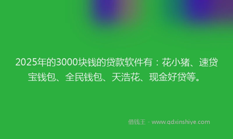 2025年的3000块钱的贷款软件有：花小猪、速贷宝钱包、全民钱包、天浩花、现金好贷等。