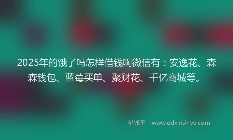 2025年的饿了吗怎样借钱啊微信有：安逸花、森森钱包、蓝莓买单、聚财花、千亿商城等。