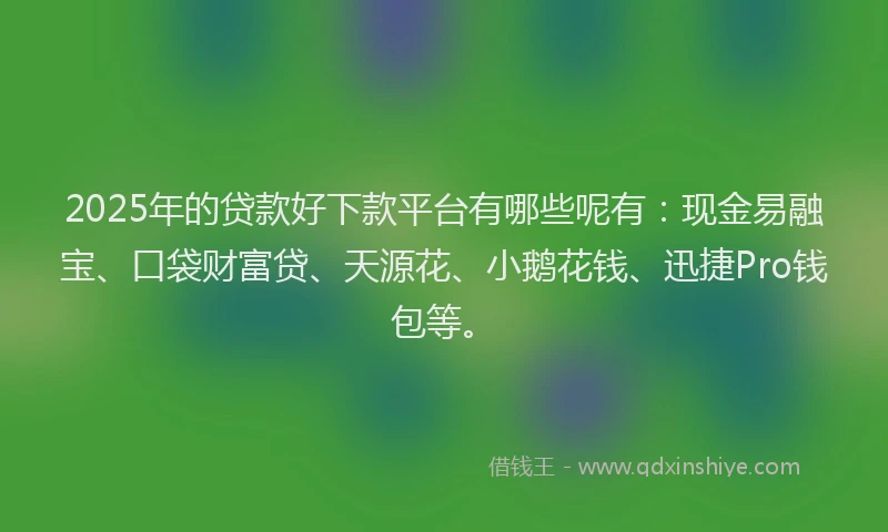 2025年的贷款好下款平台有哪些呢有：现金易融宝、口袋财富贷、天源花、小鹅花钱、迅捷Pro钱包等。