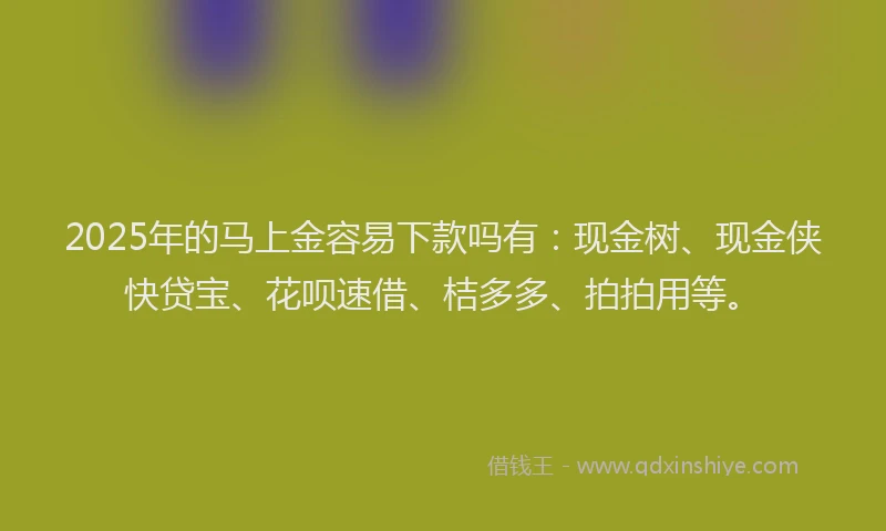 2025年的马上金容易下款吗有：现金树、现金侠快贷宝、花呗速借、桔多多、拍拍用等。