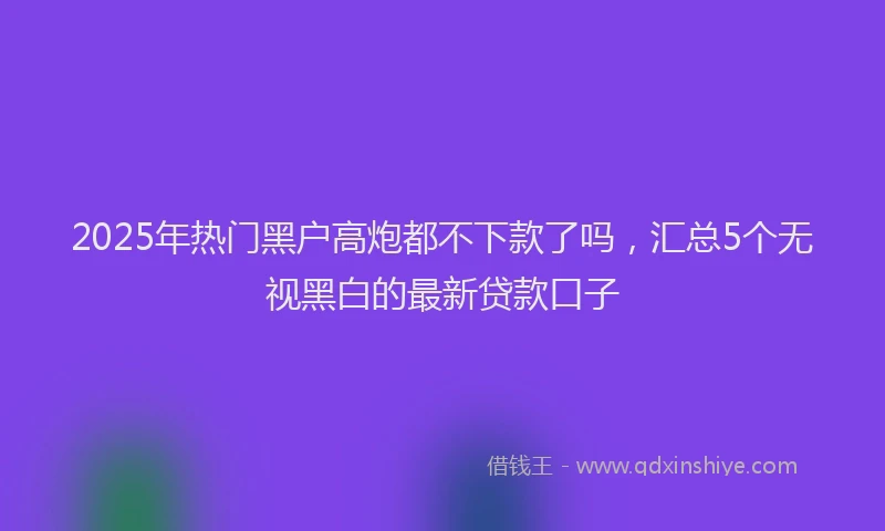 2025年热门黑户高炮都不下款了吗，汇总5个无视黑白的最新贷款口子