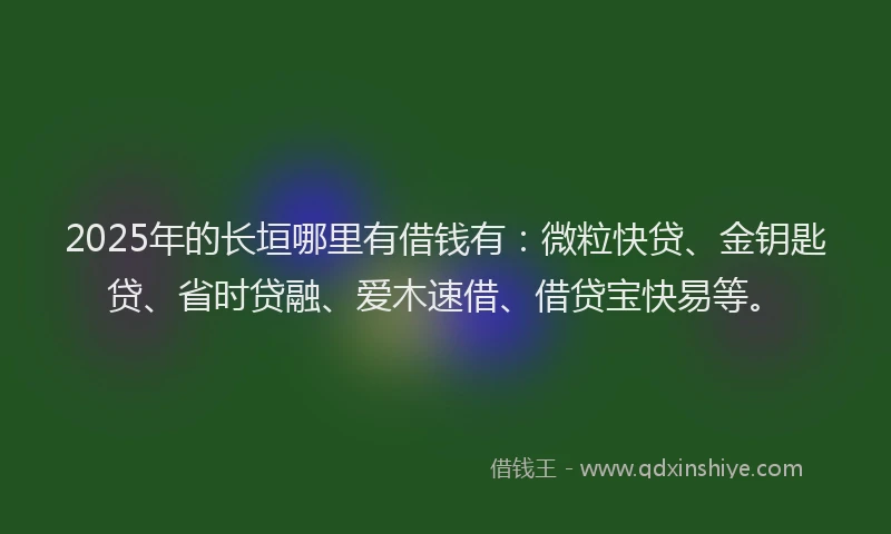 2025年的长垣哪里有借钱有：微粒快贷、金钥匙贷、省时贷融、爱木速借、借贷宝快易等。
