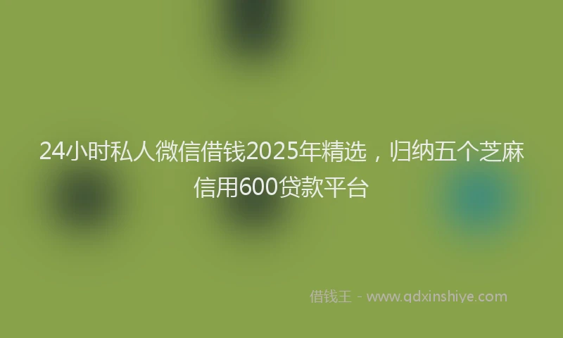24小时私人微信借钱2025年精选，归纳五个芝麻信用600贷款平台