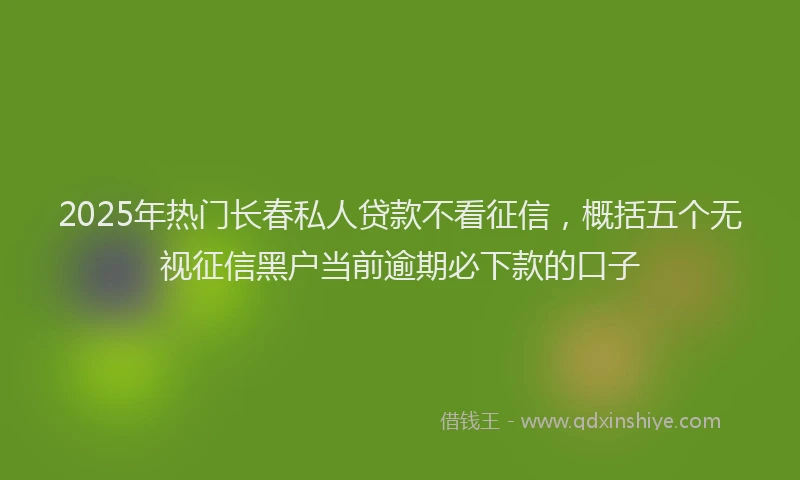 2025年热门长春私人贷款不看征信，概括五个无视征信黑户当前逾期必下款的口子