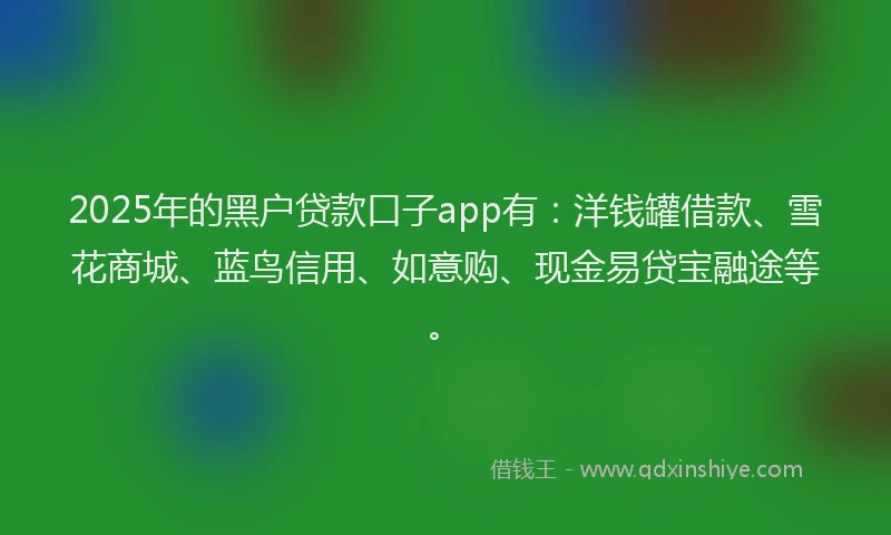 2025年的黑户贷款口子app有：洋钱罐借款、雪花商城、蓝鸟信用、如意购、现金易贷宝融途等。