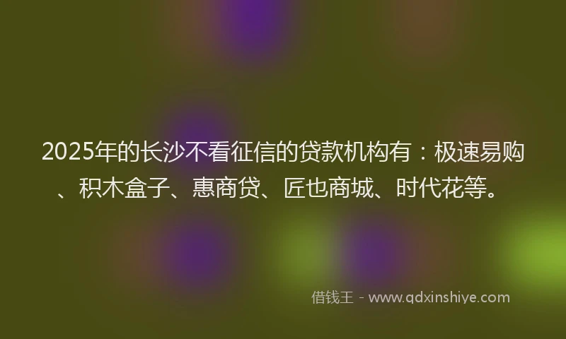 2025年的长沙不看征信的贷款机构有：极速易购、积木盒子、惠商贷、匠也商城、时代花等。