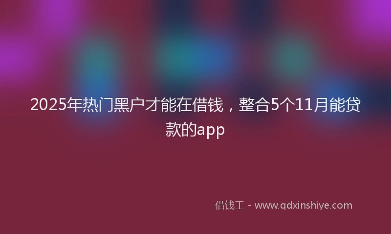 2025年热门黑户才能在借钱，整合5个11月能贷款的app