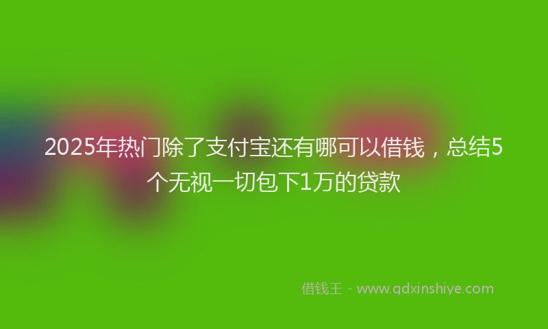 2025年热门除了支付宝还有哪可以借钱，总结5个无视一切包下1万的贷款