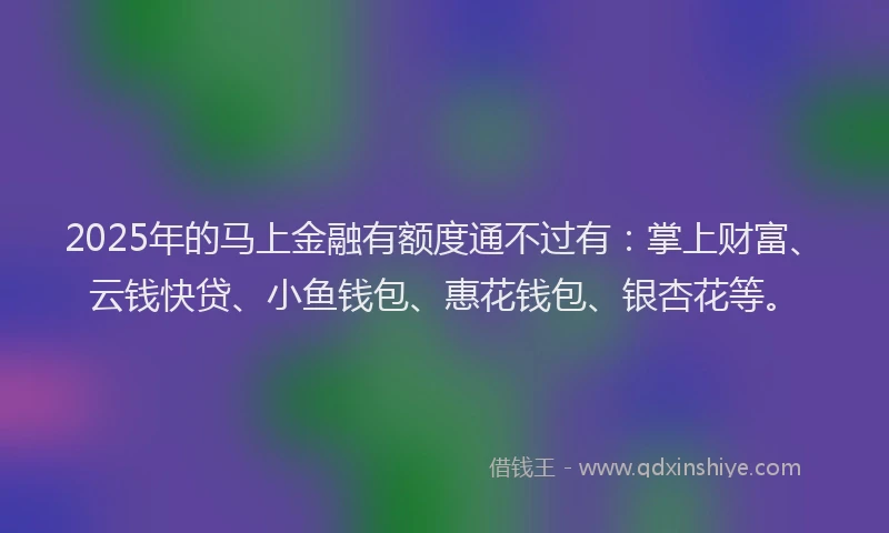 2025年的马上金融有额度通不过有：掌上财富、云钱快贷、小鱼钱包、惠花钱包、银杏花等。