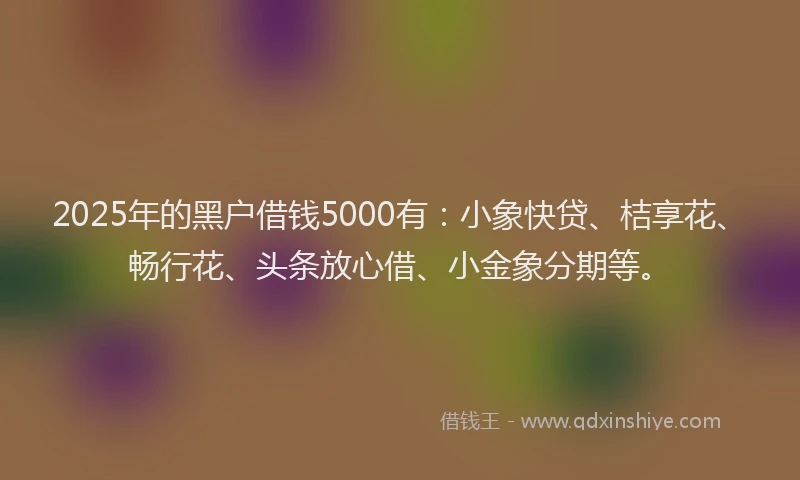 2025年的黑户借钱5000有：小象快贷、桔享花、畅行花、头条放心借、小金象分期等。