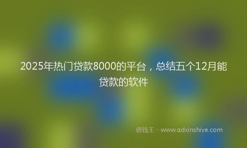 2025年热门贷款8000的平台，总结五个12月能贷款的软件