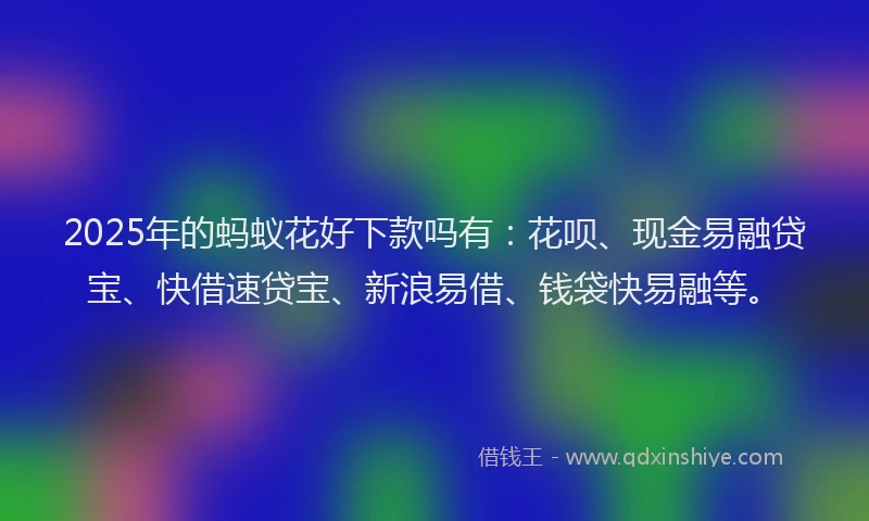 2025年的蚂蚁花好下款吗有：花呗、现金易融贷宝、快借速贷宝、新浪易借、钱袋快易融等。