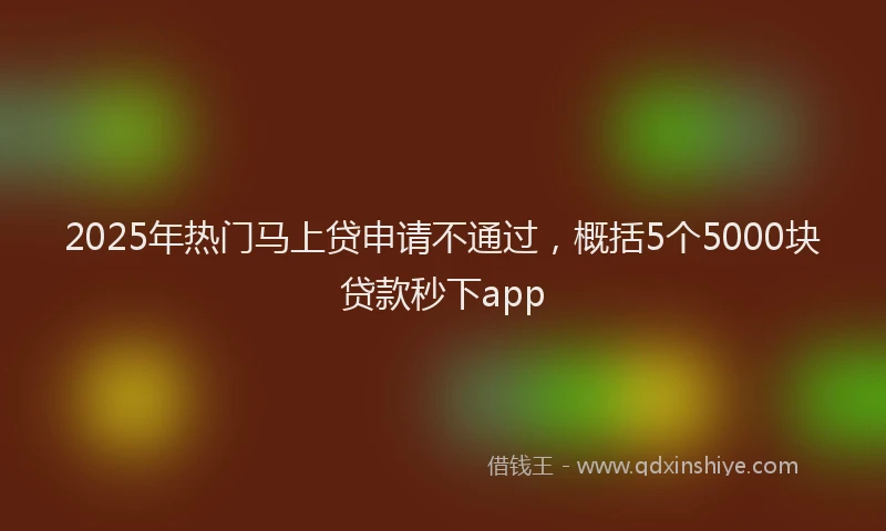 2025年热门马上贷申请不通过，概括5个5000块贷款秒下app