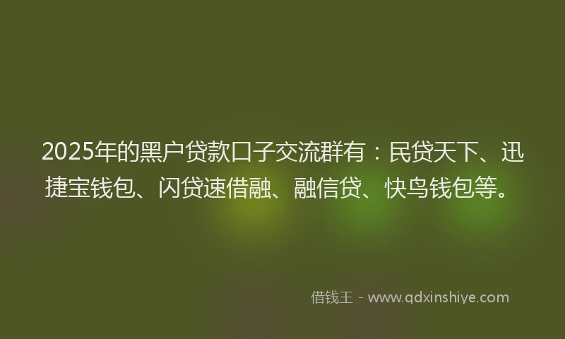 2025年的黑户贷款口子交流群有：民贷天下、迅捷宝钱包、闪贷速借融、融信贷、快鸟钱包等。