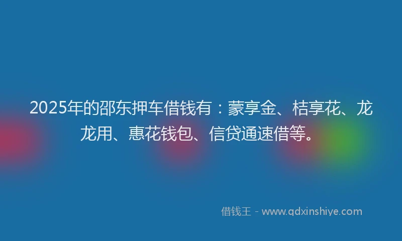 2025年的邵东押车借钱有：蒙享金、桔享花、龙龙用、惠花钱包、信贷通速借等。