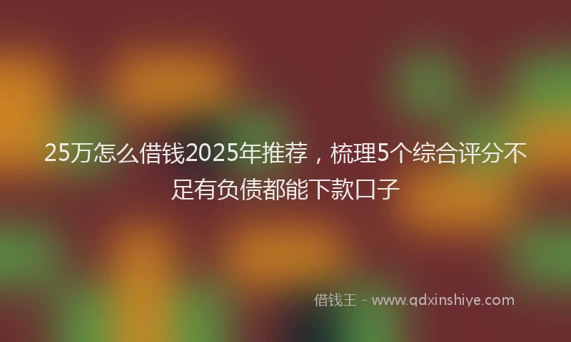 25万怎么借钱2025年推荐，梳理5个综合评分不足有负债都能下款口子