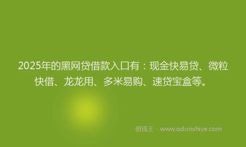 2025年的黑网贷借款入口有：现金快易贷、微粒快借、龙龙用、多米易购、速贷宝盒等。