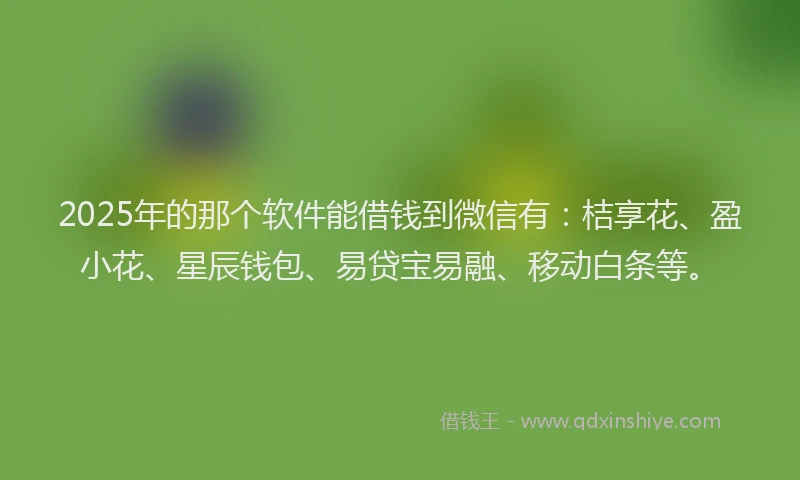 2025年的那个软件能借钱到微信有：桔享花、盈小花、星辰钱包、易贷宝易融、移动白条等。