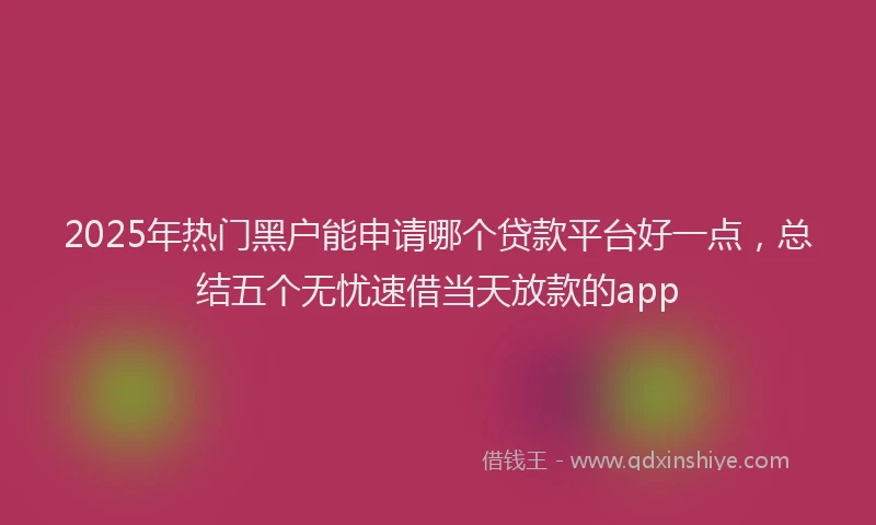 2025年热门黑户能申请哪个贷款平台好一点，总结五个无忧速借当天放款的app