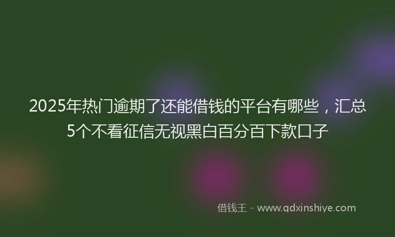 2025年热门逾期了还能借钱的平台有哪些，汇总5个不看征信无视黑白百分百下款口子