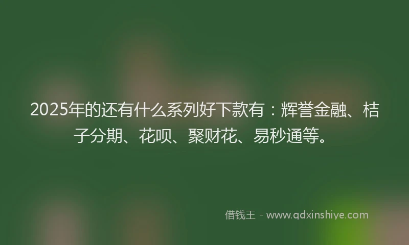 2025年的还有什么系列好下款有：辉誉金融、桔子分期、花呗、聚财花、易秒通等。