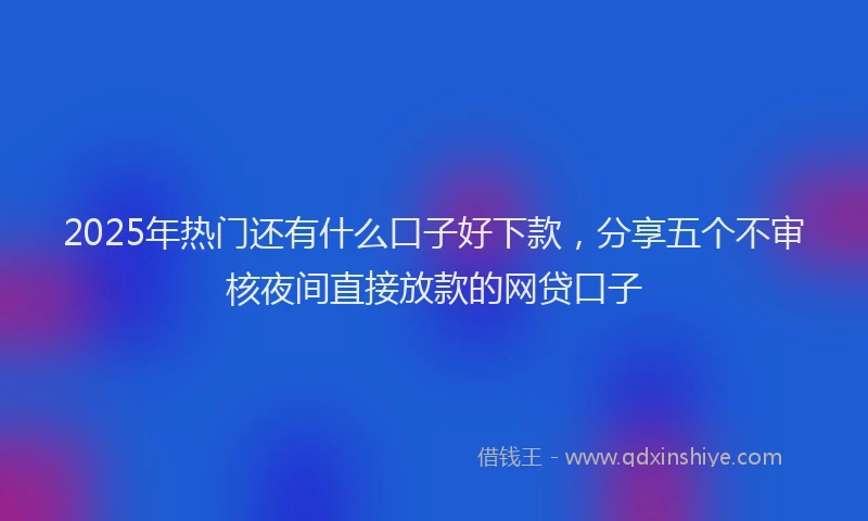 2025年热门还有什么口子好下款，分享五个不审核夜间直接放款的网贷口子