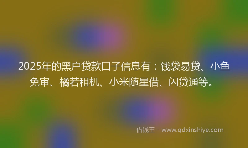 2025年的黑户贷款口子信息有：钱袋易贷、小鱼免审、橘若租机、小米随星借、闪贷通等。
