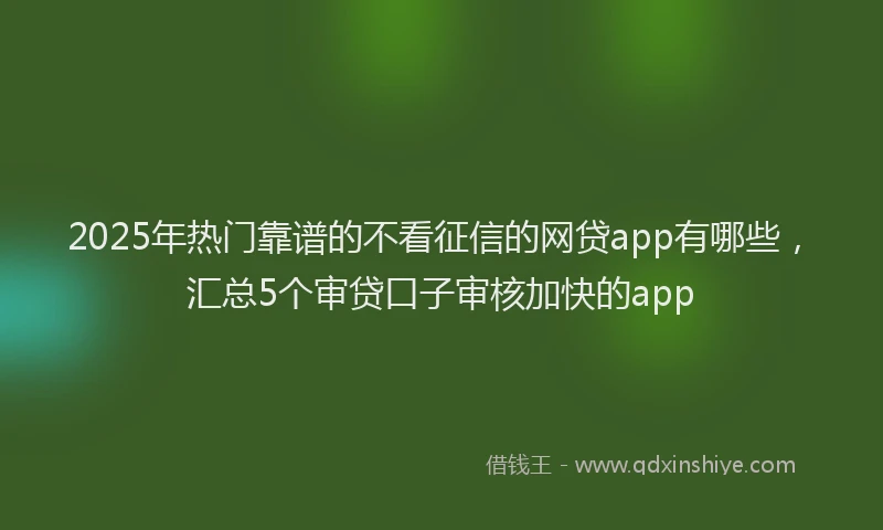 2025年热门靠谱的不看征信的网贷app有哪些，汇总5个审贷口子审核加快的app