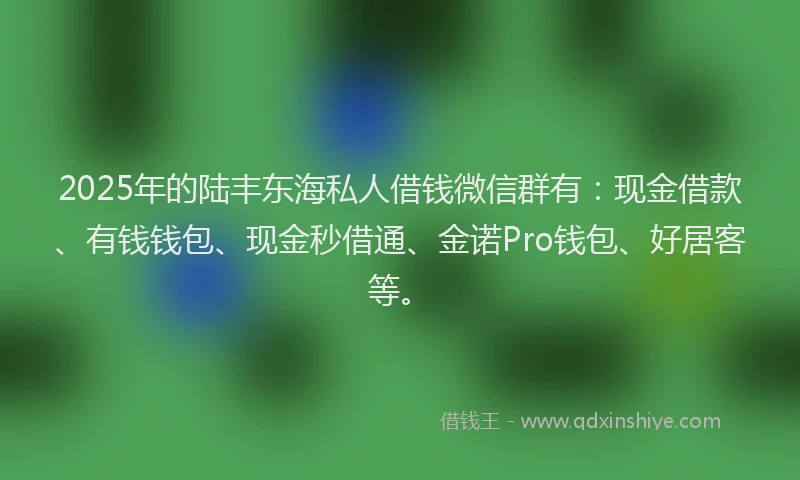 2025年的陆丰东海私人借钱微信群有：现金借款、有钱钱包、现金秒借通、金诺Pro钱包、好居客等。
