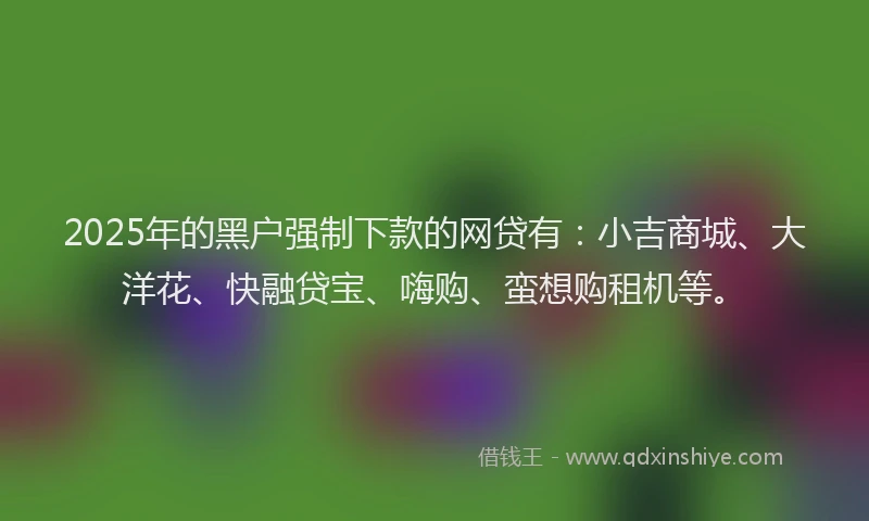 2025年的黑户强制下款的网贷有：小吉商城、大洋花、快融贷宝、嗨购、蛮想购租机等。