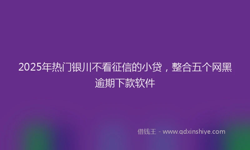 2025年热门银川不看征信的小贷，整合五个网黑逾期下款软件