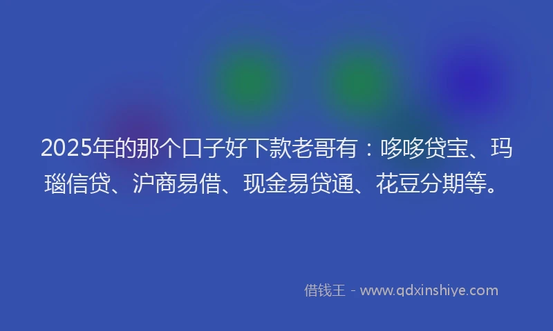 2025年的那个口子好下款老哥有：哆哆贷宝、玛瑙信贷、沪商易借、现金易贷通、花豆分期等。