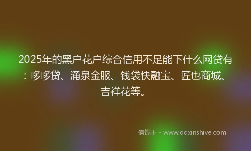 2025年的黑户花户综合信用不足能下什么网贷有：哆哆贷、涌泉金服、钱袋快融宝、匠也商城、吉祥花等。