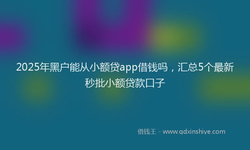 2025年黑户能从小额贷app借钱吗，汇总5个最新秒批小额贷款口子