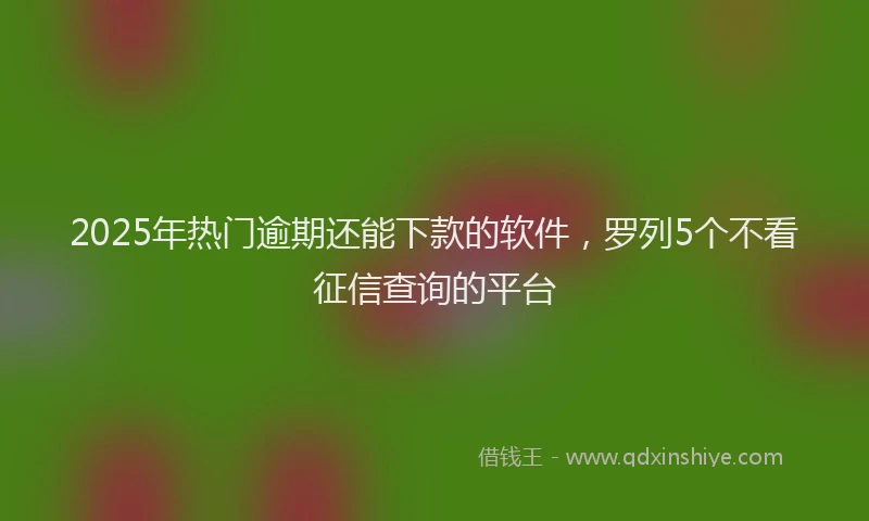 2025年热门逾期还能下款的软件，罗列5个不看征信查询的平台