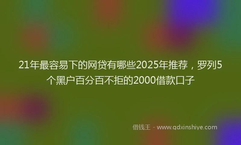 21年最容易下的网贷有哪些2025年推荐，罗列5个黑户百分百不拒的2000借款口子